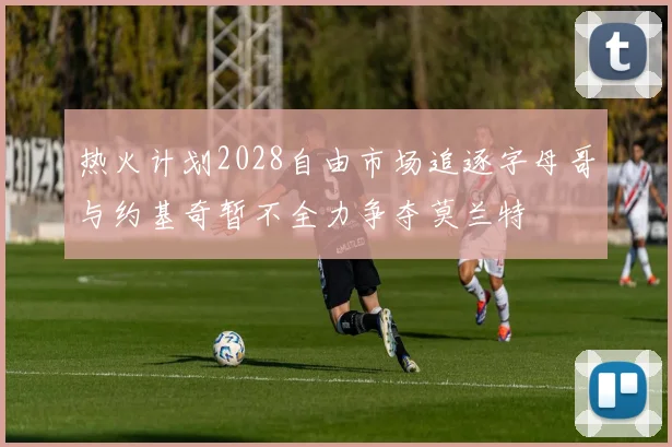 热火计划2028自由市场追逐字母哥与约基奇暂不全力争夺莫兰特